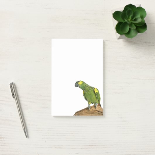 Amazonas Posten-it® merkt 4 x 6 Post-it Klebezettel (Büro)