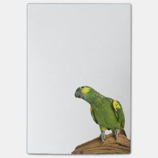 Amazonas Posten-it® merkt 4 x 6 Post-it Klebezettel