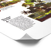 " Amazonien: 1992 eine Weltressource-Karte ... Poster (Ecke)