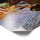 AMAZONIEN FOTODRUCK (Ecke)