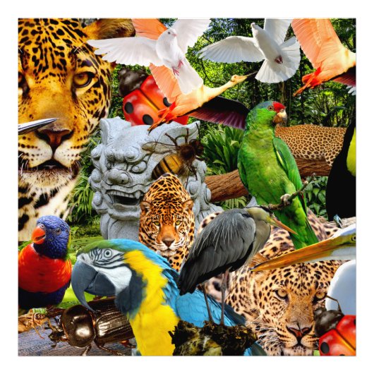 AMAZONIEN FOTODRUCK (Vorne)