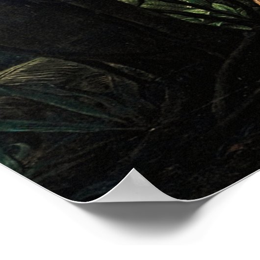 Amazonien Poster (Ecke)