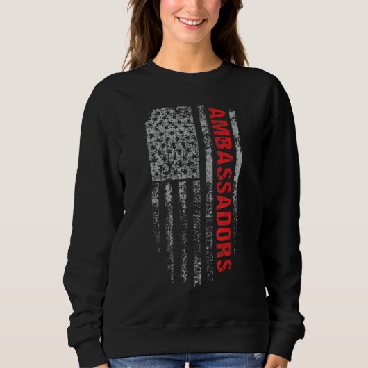 Ambassadors USA Flag Profession Ambassadors Job Ti Sweatshirt (Vorderseite)