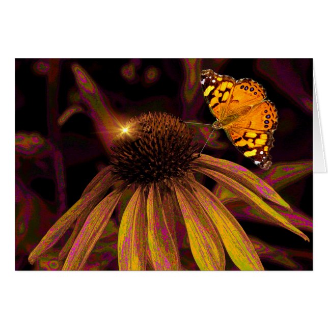 Amber (Vorderseite (Horizontal))