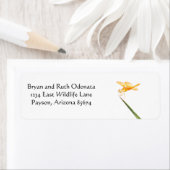 Amber-Flügel (Insitu)