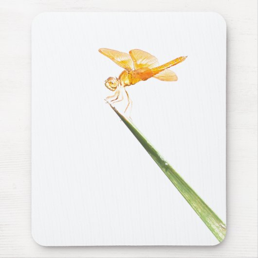 Amber-Flügel Mousepad (Vorne)