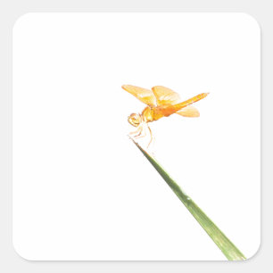 Amber-Flügel Quadratischer Aufkleber