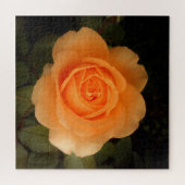 Amber Flush Rose Jigsaw Puzzle (Horizontal)