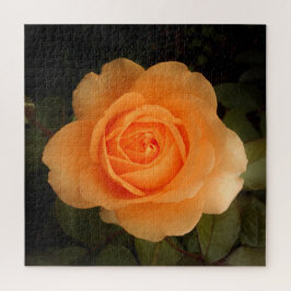 Amber Flush Rose Jigsaw Puzzle