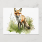 Amber Gaze: Meadow Fox, benutzerdefiniert Postkarte (Vorderseite)