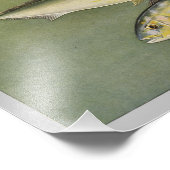 Amber & gelber Jack Vintage Fischdrucke Fotodruck (Ecke)