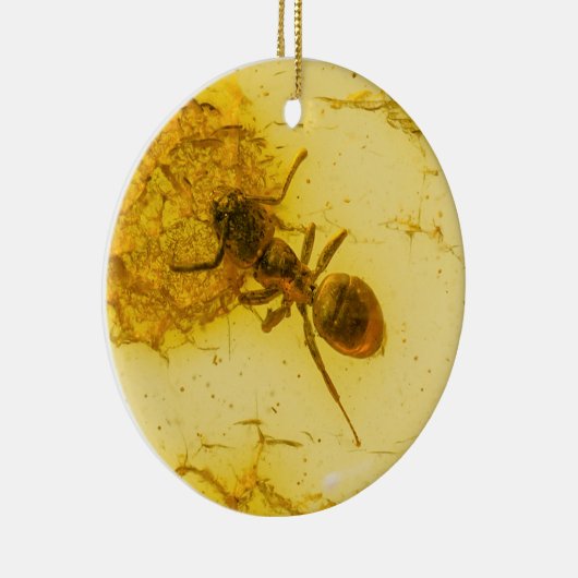 Amber Keramik Ornament (Rechts)