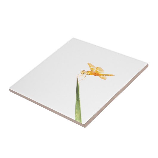 Amber-Libelle Fliese (Seite)