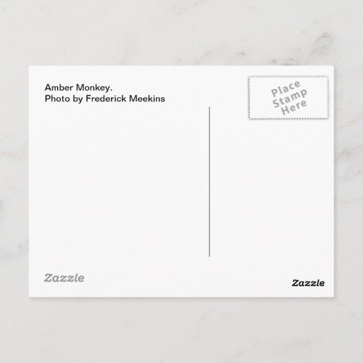 Amber Monkey Postkarte (Rückseite)