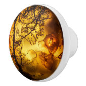 Amber-Pflanze-Muster Keramikknauf (Rechts)