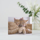 Amber & Topez Postkarte (Stehend Vorderseite)