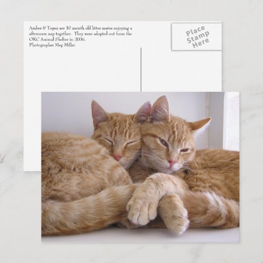 Amber & Topez Postkarte (Vorne/Hinten)