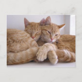 Amber & Topez Postkarte (Vorderseite)