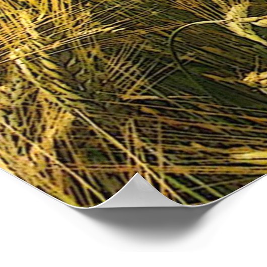 Amber Waves of Grain Poster (Ecke)