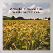 Amber Waves of Grain Poster (Vorne)