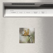 Amber Wings Magnet (In Situ (Geschirrspüler))