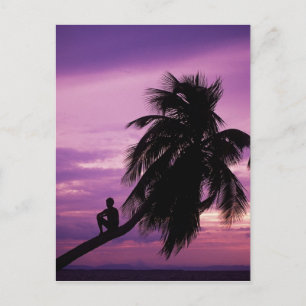 Ambergris Caye, Belize, Mittelamerika. Postkarte