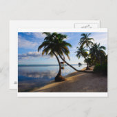 Ambergris Caye Belize Postkarte (Vorne/Hinten)