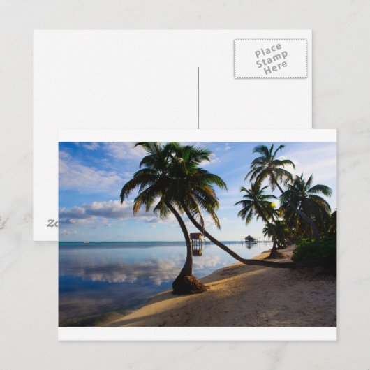 Ambergris Caye Belize Postkarte (Vorne/Hinten)