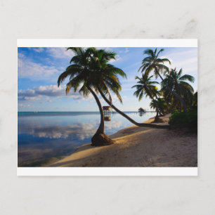 Ambergris Caye Belize Postkarte