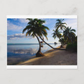 Ambergris Caye Belize Postkarte (Vorderseite)