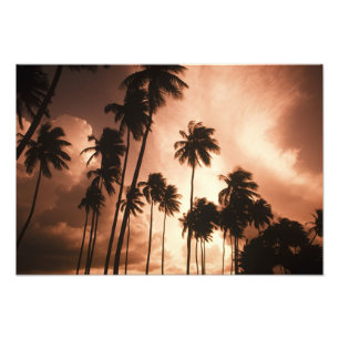 Ambergris Caye, Belize, Zentralamerika. 2 Fotodruck