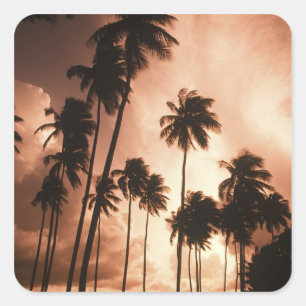 Ambergris Caye, Belize, Zentralamerika.  2 Quadratischer Aufkleber