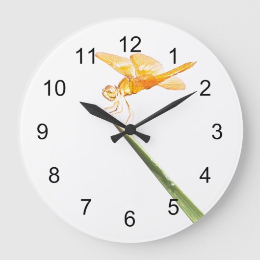 Amberwing Dragonfly Große Wanduhr (Vorderseite)