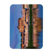 Amboise Castle, Loire Valley, Frankreich Magnet (Vertikal)