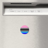Ambonec Pride Flag Magnet (In Situ (Geschirrspüler))