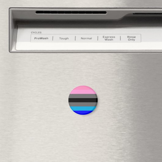 Ambonec Pride Flag Magnet (In Situ (Geschirrspüler))
