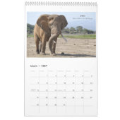 Amboseli Ikonen-Kalender Kalender (Mär 2027)