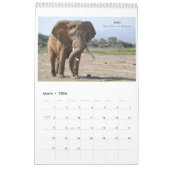 Amboseli Ikonen-Kalender Kalender (Mär 2026)