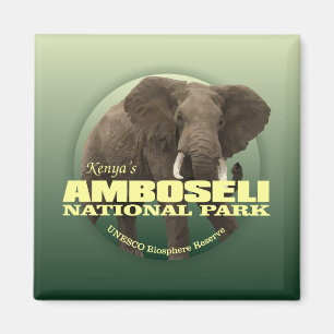 Amboseli NP (afrikanischer Elefant) GEWICHT Magnet