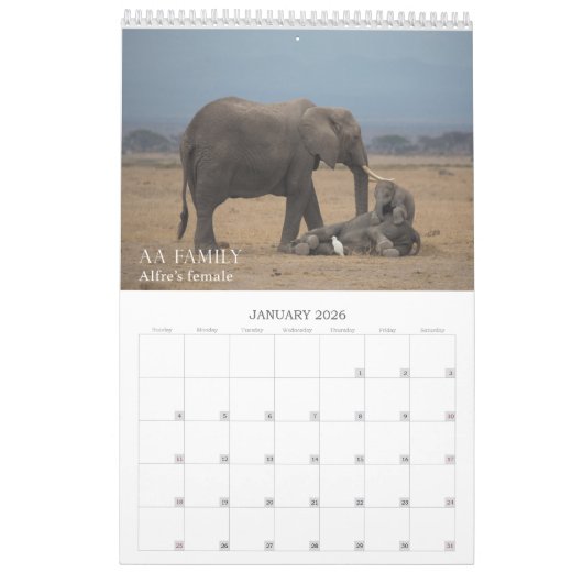 Amboseli Trust für Elefanten Babyboom-Kalender Kalender (Jan 2026)