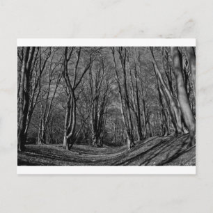 Ambresbury Banks Eisenzeit Anreicherung Postkarte