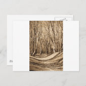 Ambresbury Banks Postkarte (Vorne/Hinten)