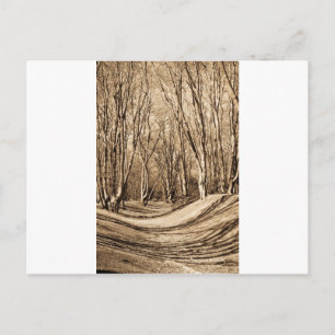 Ambresbury Banks Postkarte