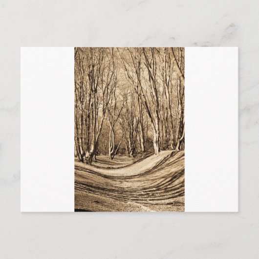 Ambresbury Banks Postkarte (Vorderseite)