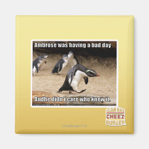 Ambrose hatte einen schlechten Tag Magnet