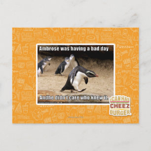 Ambrose hatte einen schlechten Tag Postkarte