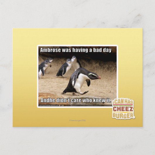 Ambrose hatte einen schlechten Tag Postkarte (Vorderseite)