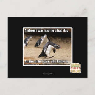 Ambrose hatte einen schlechten Tag Postkarte