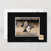 Ambrose hatte einen schlechten Tag Postkarte (Vorne/Hinten)