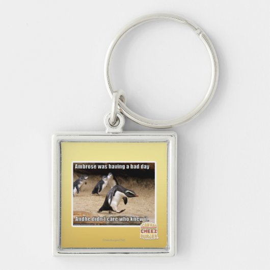 Ambrose hatte einen schlechten Tag Schlüsselanhänger (Vorne)